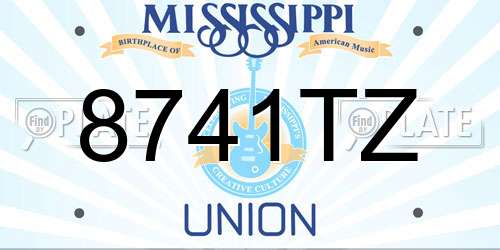 8741TZ Mississippi License Plate