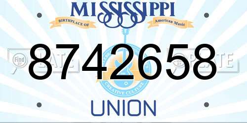8742658 Mississippi License Plate