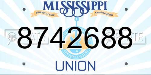 8742688 Mississippi License Plate