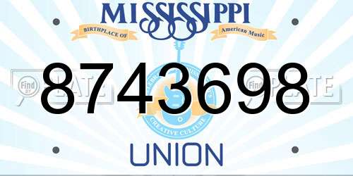 8743698 Mississippi License Plate