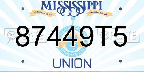 87449T5 Mississippi License Plate