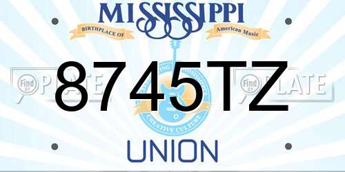 8745TZ Mississippi License Plate