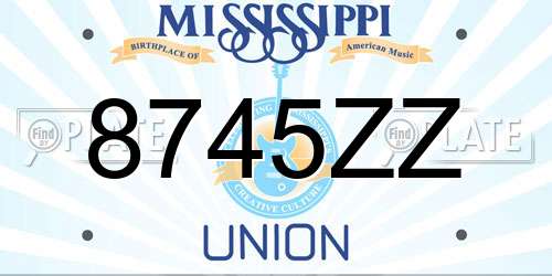 8745ZZ Mississippi License Plate