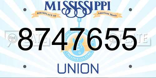 8747655 Mississippi License Plate