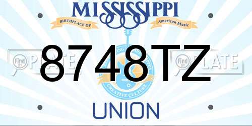 8748TZ Mississippi License Plate