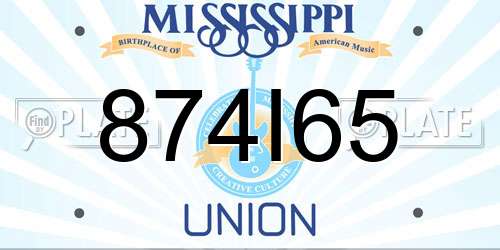 874I65 Mississippi License Plate