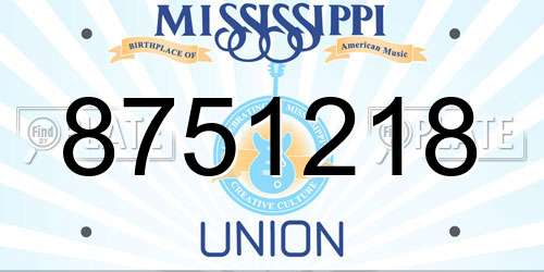 8751218 Mississippi License Plate