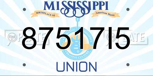 87517I5 Mississippi License Plate