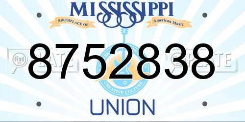 8752838 Mississippi License Plate