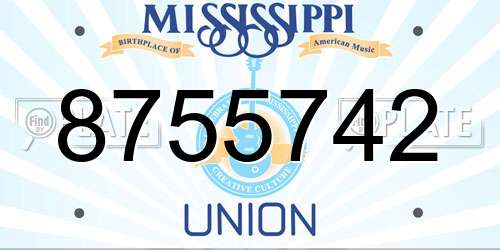 8755742 Mississippi License Plate