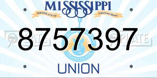 8757397 Mississippi License Plate
