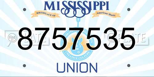 8757535 Mississippi License Plate