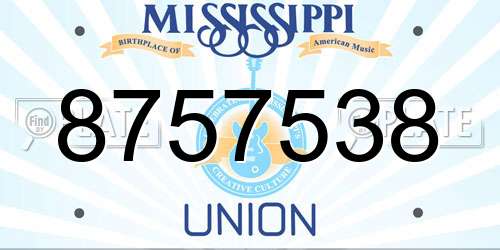 8757538 Mississippi License Plate