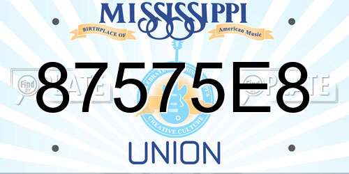 87575E8 Mississippi License Plate