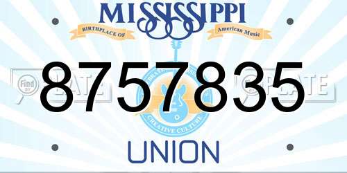 8757835 Mississippi License Plate