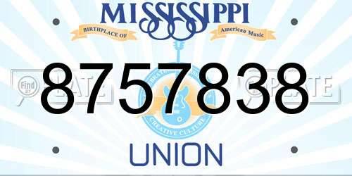 8757838 Mississippi License Plate