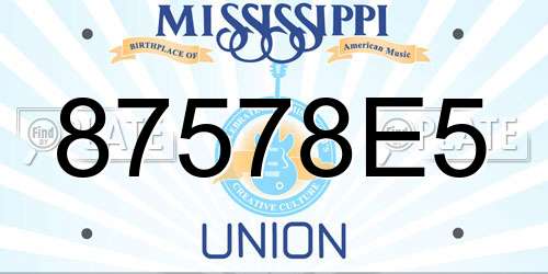 87578E5 Mississippi License Plate