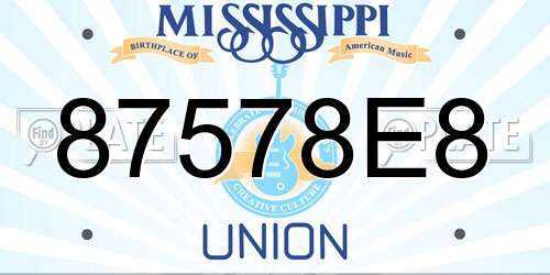 87578E8 Mississippi License Plate
