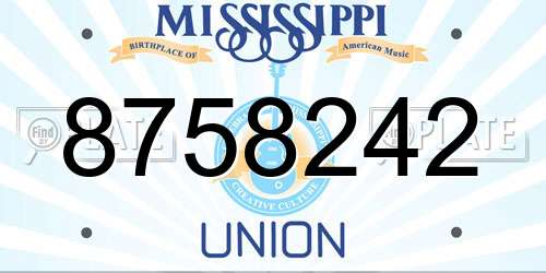 8758242 Mississippi License Plate