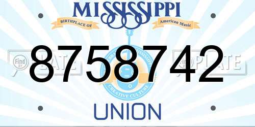 8758742 Mississippi License Plate