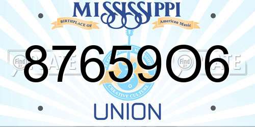 87659O6 Mississippi License Plate
