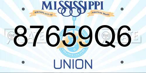 87659Q6 Mississippi License Plate
