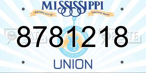 8781218 Mississippi License Plate