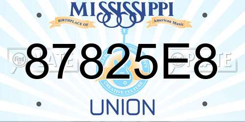 87825E8 Mississippi License Plate