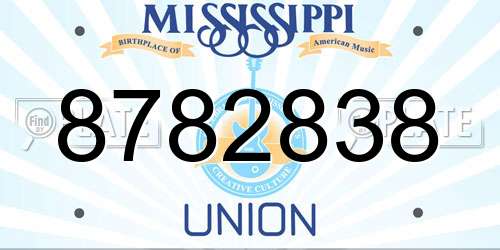 8782838 Mississippi License Plate