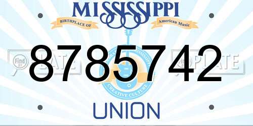 8785742 Mississippi License Plate