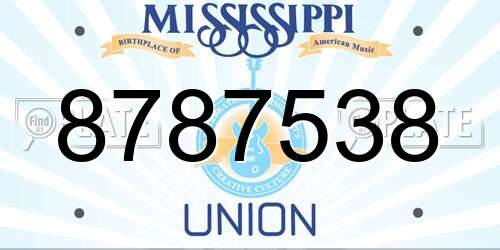8787538 Mississippi License Plate