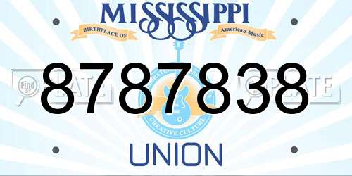 8787838 Mississippi License Plate