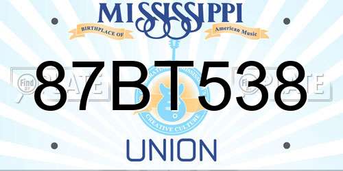 87BT538 Mississippi License Plate