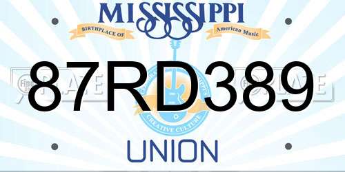 87RD389 Mississippi License Plate