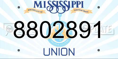 8802891 Mississippi License Plate