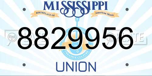 8829956 Mississippi License Plate
