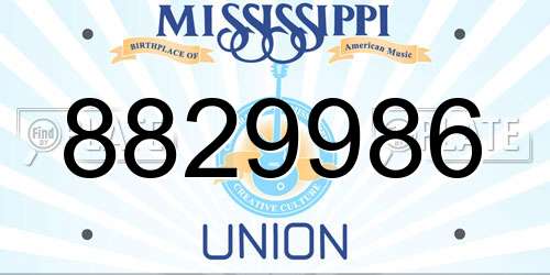 8829986 Mississippi License Plate