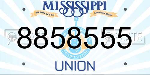 8858555 Mississippi License Plate