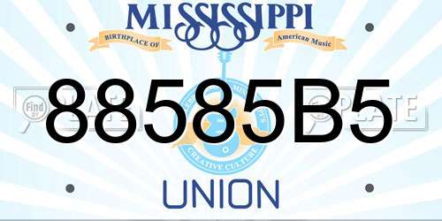 88585B5 Mississippi License Plate