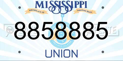 8858885 Mississippi License Plate