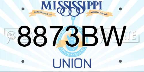 8873BW Mississippi License Plate