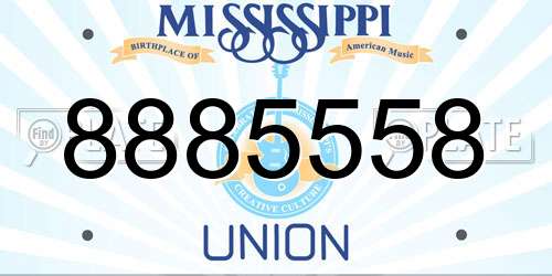 8885558 Mississippi License Plate