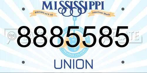 8885585 Mississippi License Plate