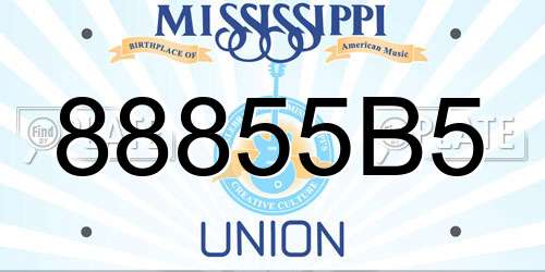 88855B5 Mississippi License Plate