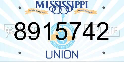 8915742 Mississippi License Plate