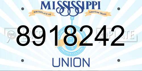 8918242 Mississippi License Plate