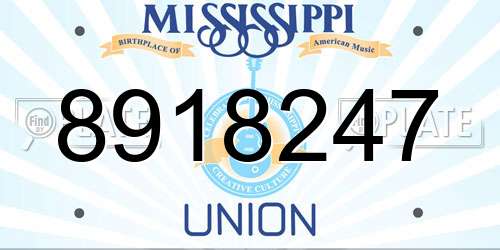 8918247 Mississippi License Plate