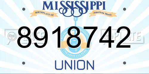 8918742 Mississippi License Plate