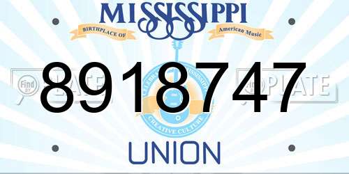 8918747 Mississippi License Plate