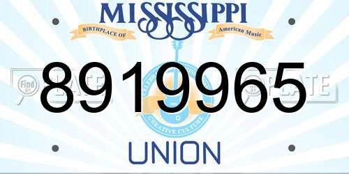 8919965 Mississippi License Plate